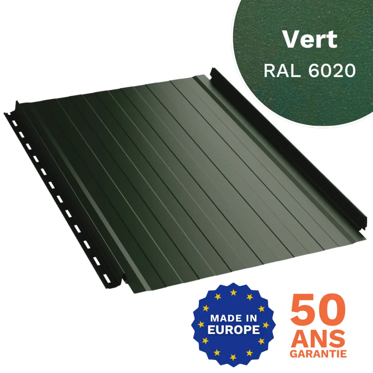 Snap_lock_6020_segment