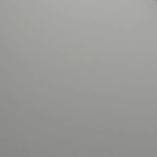 9007_lisse
