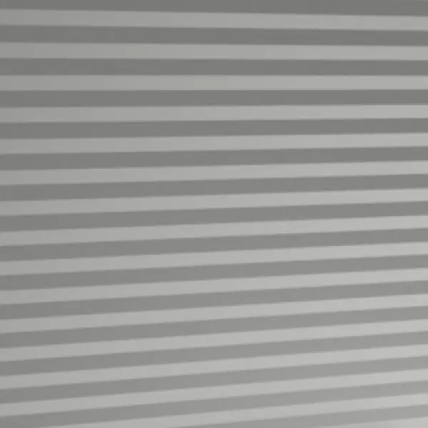 9007_micro