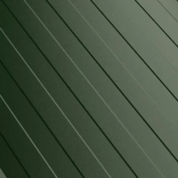 6020_segment